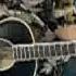 Goldbug BlackFlag Octave Mandolin Bouzuki