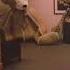 The Backrooms Monster All Sound Effects Scary Sounds For Horror Media Free For Use