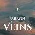 Faraon Veins Original Mix