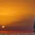 Dan Byrd Sayonara Means Goodbye 1986