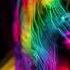 Devastation Of Color From Birds Eye View Album By Steven Beddall
