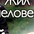 Василий Шукшин Загадочная и горькая жизнь Почему его хотели снимать лучшие режиссёры СССР