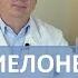 Отеки пиелонефрит камни в почках Ортосифон уникальное лекарство за 70 рублей Забытая медицина