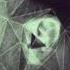 TobyMac I Just Need U Instrumental Track
