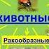 природоведение 5 класс Организм и его свойства Разнообразие организмов