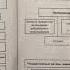 Конституционное право Тема 5 Гражданство Российской Федерации