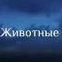 СубханАллах