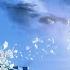 Relaxing Piano Music Good Night Sweetie Beautiful Relaxing Music Sleep Music Stress Relief