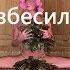 Волочкова голая в банет Новая фотография банный шпагат Волочковой взорвала интернет и хейтеров
