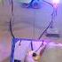 How A Manual Switch Works DC Motor Dcmotor Automobile Switch Experiment Shortvideo Shorts