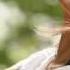 박혜경 Lemon Tree Official Video