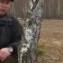 Арсенал 17 04 2016 Проверено на себе Сапёры ССО