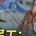 Wang S News Talk The First Generation Of Rural Migrant Workers Abandoned By The Nation
