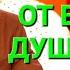 Песни от всей души Выпуск 25 05 2025