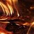 10 HOURS Forest Campfire Relaxing Burning Fireplace Crackling Fire Sounds
