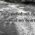My Hope Allah Nasheed Muhammad Al Muqit