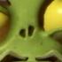 PVZ Garden Warfare 2 MEET THE PIRATE Gameplay CUTSCENE CINEMATIC