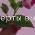Моя знакомая Самирхан Чагаев