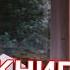 Страж Алексей Пехов Обзор книги Маг Sargas