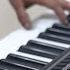 Final Countdown Europe Keyboard Cover With Solo By Dissonant Records