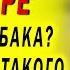 КАЖДОЙ ТВАРИ ПО ПАРЕ Любовные истории из жизни аудио рассказы о любви
