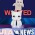 UIA News Mysterious Cat Apperead In OIIA Music Videos