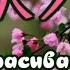 САКУРА И ВОЛШЕБНАЯ МУЗЫКА Релакс Relax МУЗЫКАЛЬНЫЙ КЛИП ДЛЯ ДРУЗЕЙ ИНТЕРЕСНЫЕ ФАКТЫ さくら