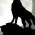 Wolf Howling Sound