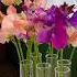 Собираем душистый горошек Garden Farmlife ферма цветы Flowers