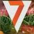 7TV MegaFon Idents 2009 2011