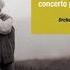 Piano Concerto In A Minor Op 16 I Allegro Molto Moderato