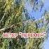 Сдувает Ветер Перемен на Урале 9 сентября 2023 Он точно принесет изменения в погоде дожди
