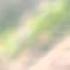 AUDIO 김란영 살랑살랑