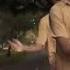 Zion Nile Just A Memory Dir BLACKSHEEP