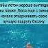 На море анекдоты юмор приколы мемы