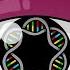What Is The Gene S Eye View Of Evolution Stated Clearly