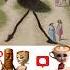 Ballerina Cappuccina Meme Funk 4 Ballerinacapuccina Funk Meme