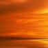 The Year 1812 Festival Overture In E Flat Major Op 49