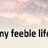 Just A Closer Walk With Thee With Lyrics By Daniel O Donnell