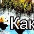 Аудиокнига Питер Коррис Как в воду канул