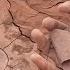 This One Is Filter By The Cloth Cementdirtlover Purecement Reddirt Sandcement Asmr Bts