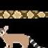 North American Desert Animals The Kids Picture Show