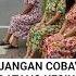 VIRAL KAMPUNG JANDA 90 PENDUDUKNYA KEKRURANGAN PRIA Shortss Videoviral Fyp