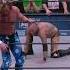 Kenny Omega Accidentally Knocked Out Julia Hart During AEW Revolution