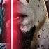 Face The Past Face The Future X Master Thyself God Of War Ragnarök Soundtrack