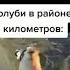 все полетели