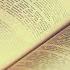 Книги которые читаются на одном дыхании все советую