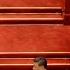 陈破空 美国酝酿制裁中共官员 将中共与中国人民区别对待 7 17 焦点对话 精彩点评