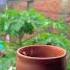 Ye Baarish Or Chai Song Love Music Youtube Yutubeshorts Youtuber Youtubechannel Views