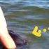 Парень вошёл в воду и тут что то коснулось его ноги Он был в УЖАСЕ